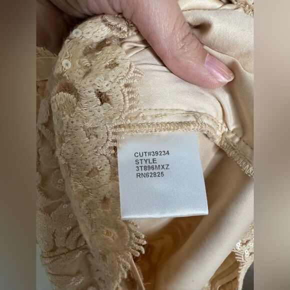 TADASHI Shoji Primrose Embroidered Lace Sheath Cocktail Dress Ivory Nude Size 4 - Picture 7 of 10